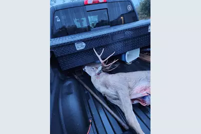 67 Hill Top Dr, Fredericksburg, TX 78624 - Photo 34