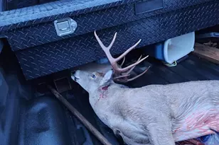 67 Hill Top Dr, Fredericksburg, TX 78624 - Photo 34