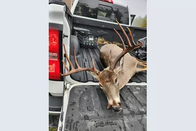 67 Hill Top Dr, Fredericksburg, TX 78624 - Photo 32