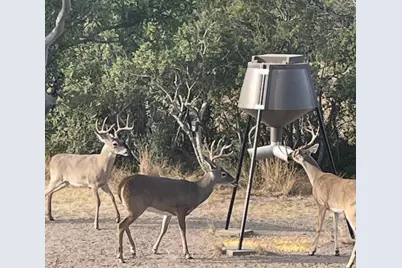 25525 Ranch Rd 2323, Fredericksburg, TX 78624 - Photo 38