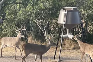 25525 Ranch Rd 2323, Fredericksburg, TX 78624 - Photo 38
