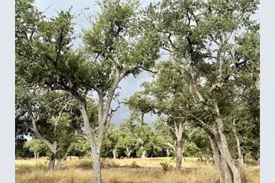 290 Stallion Dr, Harper, TX 78631 - Photo 2