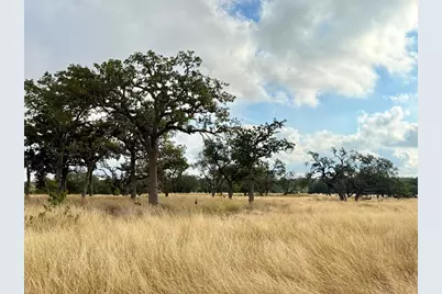 290 Stallion Dr, Harper, TX 78631 - Photo 2