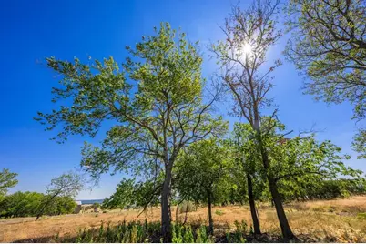 Lot 9 The Views Blvd, Fredericksburg, TX 78624 - Photo 2