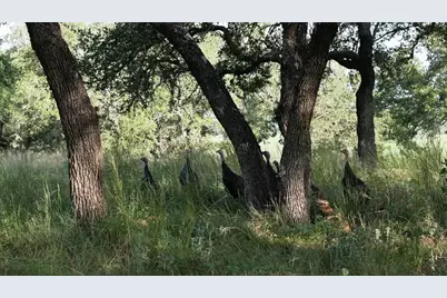 1 Sultemeier-Moellering Rd, Fredericksburg, TX 78624 - Photo 26