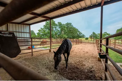 1554 Vintage Oaks Dr, Fredericksburg, TX 78624 - Photo 30