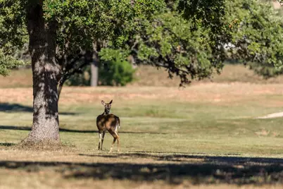 312 Interlaken St., Fredericksburg, TX 78624 - Photo 6