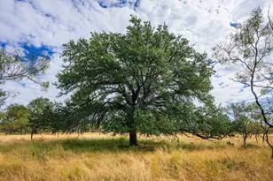 6754 N Grape Creek Rd, Fredericksburg, TX 78624 - Photo 38