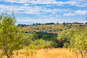 6754 N Grape Creek Rd, Fredericksburg, TX 78624 - Photo 40