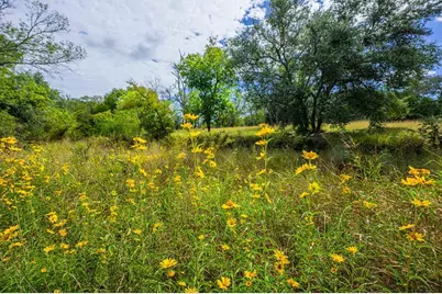 6754 North Grape Creek Rd, Fredericksburg, TX 78624 - Photo 4
