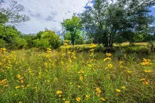 6754 N Grape Creek Rd, Fredericksburg, TX 78624 - Photo 4