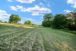 25 Zoeller Ln, Boerne, TX 78006 - Photo 46