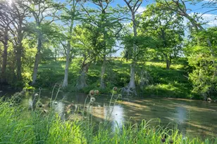 25 Zoeller Ln, Boerne, TX 78006 - Photo 50