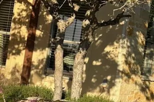 306 Charles Ranch Rd, Kerrville, TX 78028 - Photo 54