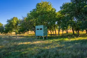 28 Ruger Rd, Fredericksburg, TX 78624 - Photo 20