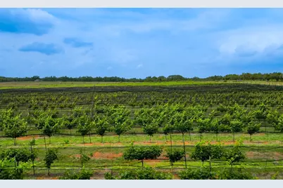 11446 N State Hwy 16, Fredericksburg, TX 78624 - Photo 14