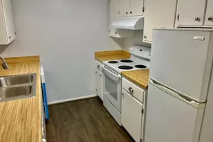 103 Trailmoor, Fredericksburg, TX 78624 - Photo 4