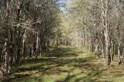 308 Pebble Loop Dr, Navasota, TX 77868 - Photo 18