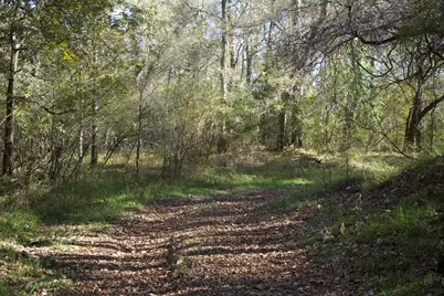 308 Pebble Loop Dr, Navasota, TX 77868 - Photo 12