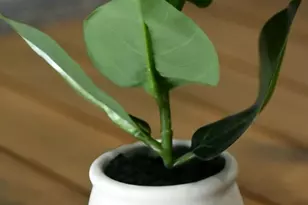 5386 Ranch Rd 1376, Fredericksburg, TX 78624 - Photo 4