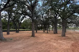 819 Lupine Ln, Fredericksburg, TX 78624 - Photo 1