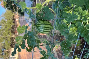 2747 Lower Crabapple Rd, Fredericksburg, TX 78624 - Photo 48