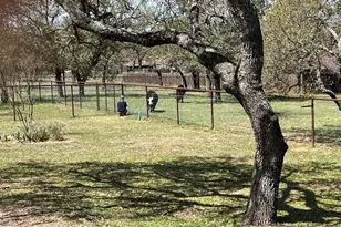 2747 Lower Crabapple Rd, Fredericksburg, TX 78624 - Photo 40