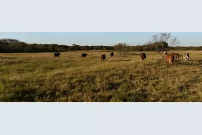 1179 E Fm 813, Palmer, TX 75152 - Photo 8