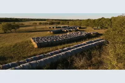 1179 E Fm 813, Palmer, TX 75152 - Photo 12