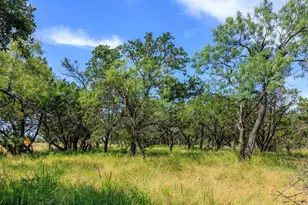 3936 S State Hwy 16, Fredericksburg, TX 78624 - Photo 38