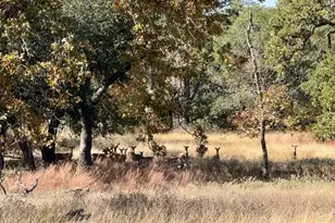 1129 Triple Creek Rd, Fredericksburg, TX 78624 - Photo 78