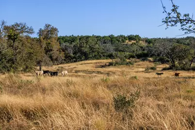 5595 Schneider-Moellering Rd, Fredericksburg, TX 78624 - Photo 28