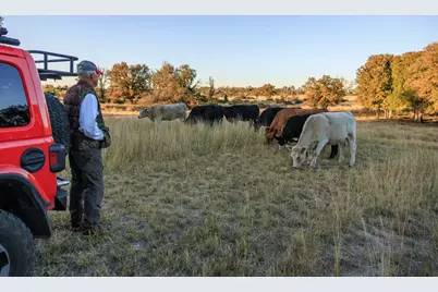 5595 Schneider-Moellering Rd, Fredericksburg, TX 78624 - Photo 10