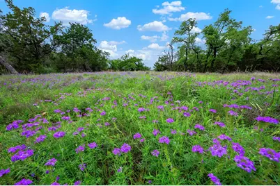 7625 N State Hwy 16, Fredericksburg, TX 78624 - Photo 18