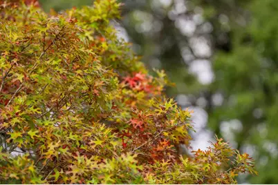 7625 N State Hwy 16, Fredericksburg, TX 78624 - Photo 10