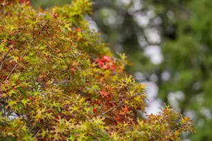 7625 N State Hwy 16, Fredericksburg, TX 78624 - Photo 10