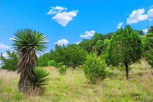 7625 N State Hwy 16, Fredericksburg, TX 78624 - Photo 18