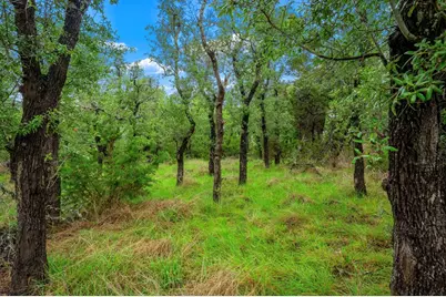 7625 N State Hwy 16, Fredericksburg, TX 78624 - Photo 14