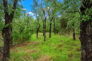 7625 N State Hwy 16, Fredericksburg, TX 78624 - Photo 14