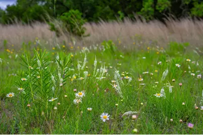 7625 N State Hwy 16, Fredericksburg, TX 78624 - Photo 26
