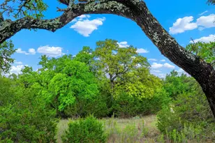 7625 N State Hwy 16, Fredericksburg, TX 78624 - Photo 16