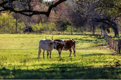 308 Oakhaven Ln, Fredericksburg, TX 78624 - Photo 40
