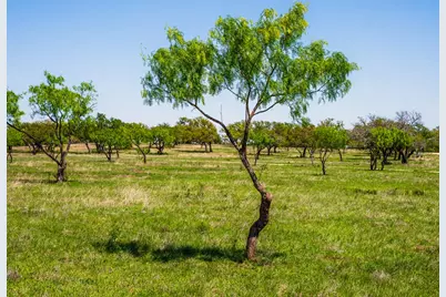 Tract 1 Wine Trail Dr, Johnson City, TX 78636 - Photo 8