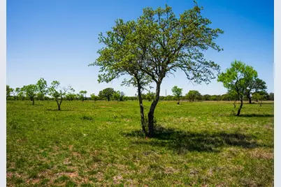 Tract 1 Wine Trail Dr, Johnson City, TX 78636 - Photo 6