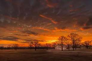 250 Morris-Tivydale Rd, Fredericksburg, TX 78624 - Photo 44