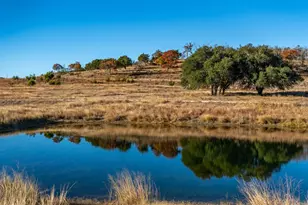 196 Hermit Hill Rd, Fredericksburg, TX 78624 - Photo 4