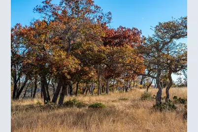 196 Hermit Hill Rd, Fredericksburg, TX 78624 - Photo 6
