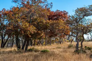 196 Hermit Hill Rd, Fredericksburg, TX 78624 - Photo 6