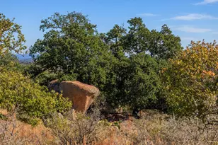 240 Granite Lake Trail, Fredericksburg, TX 78624 - Photo 4