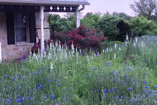 256 Royalview Dr, Fredericksburg, TX 78624 - Photo 62